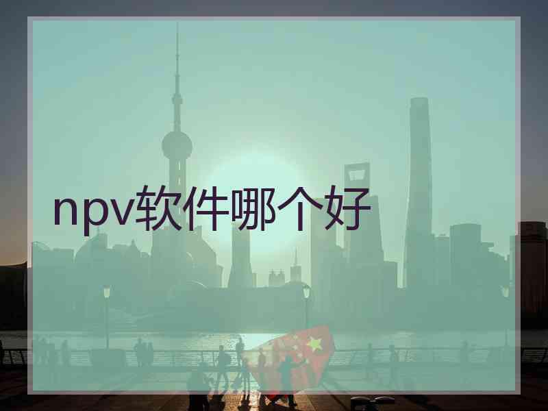 npv软件哪个好