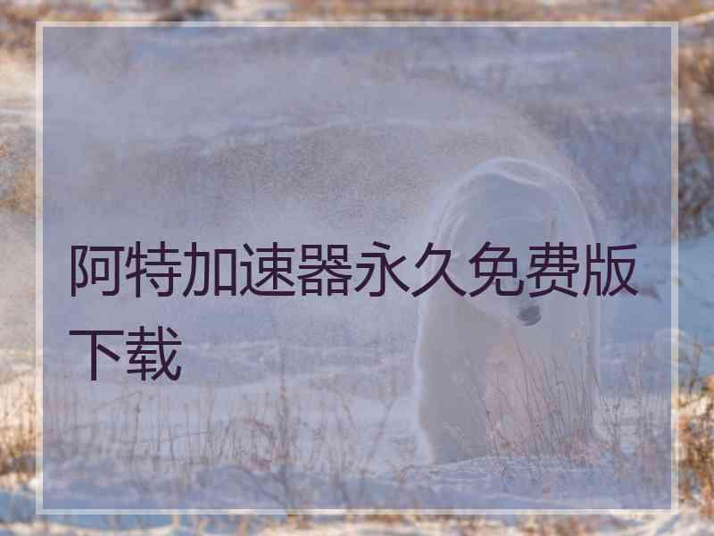 阿特加速器永久免费版下载