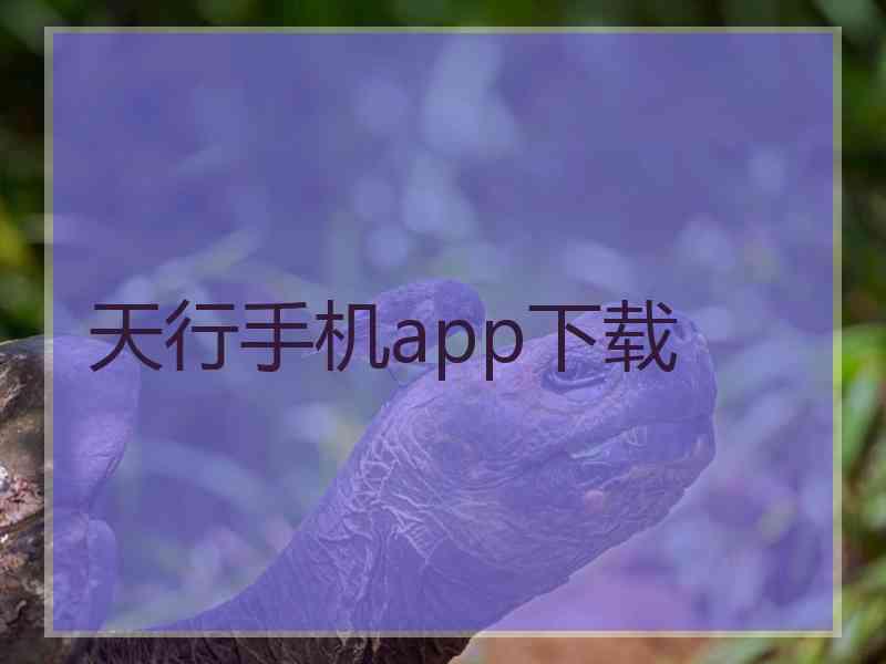 天行手机app下载