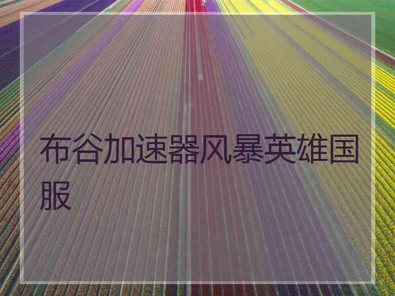 布谷加速器风暴英雄国服