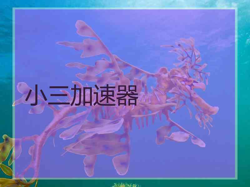 小三加速器