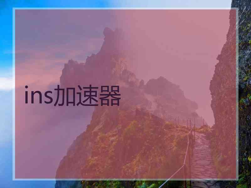 ins加速器