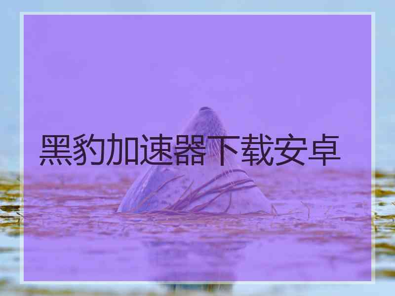 黑豹加速器下载安卓