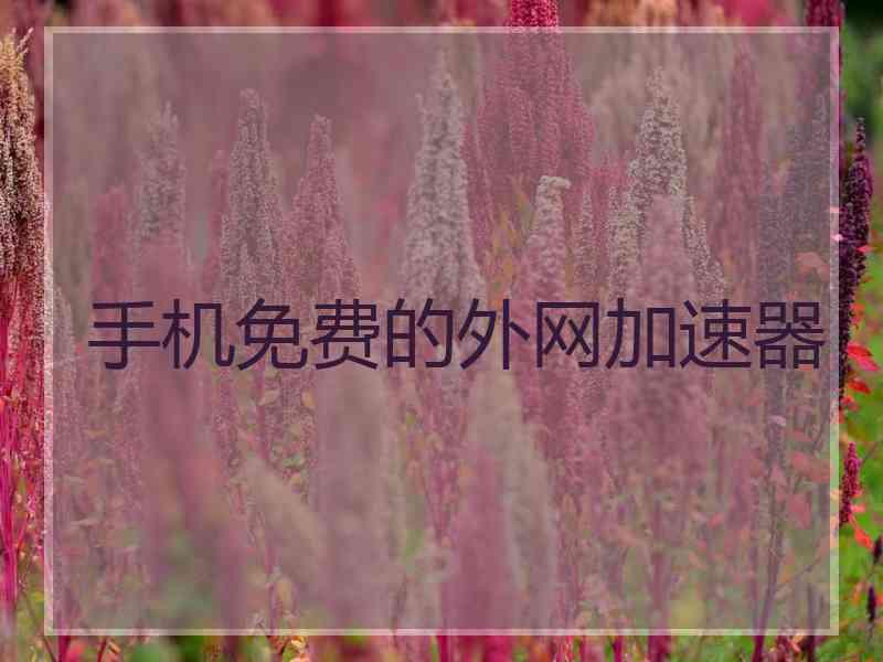 手机免费的外网加速器