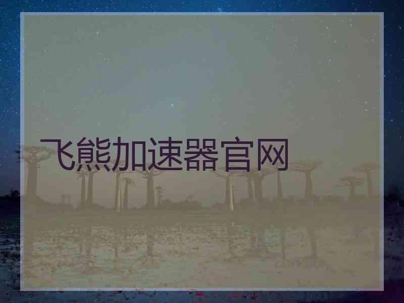 飞熊加速器官网