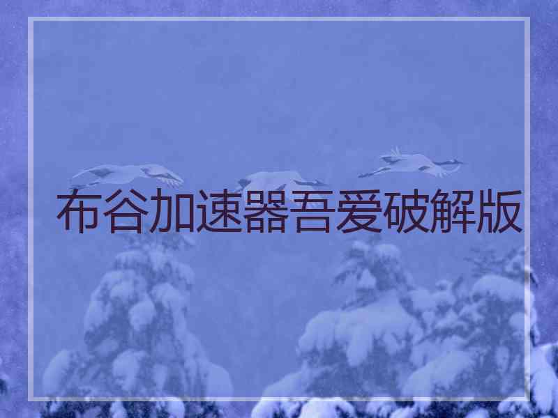 布谷加速器吾爱破解版