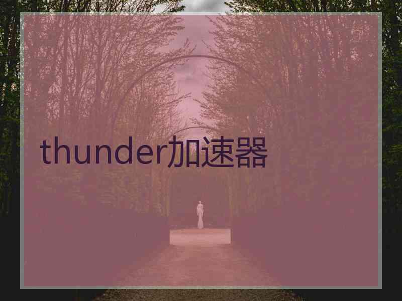 thunder加速器