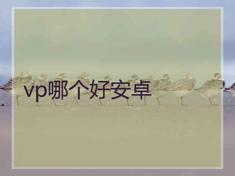 vp哪个好安卓