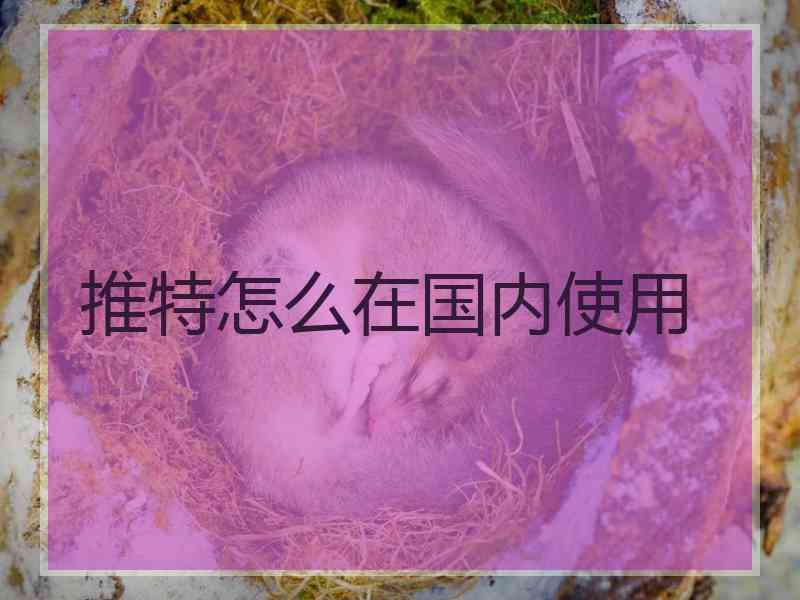 推特怎么在国内使用