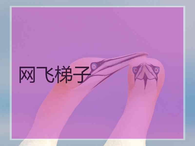 网飞梯子