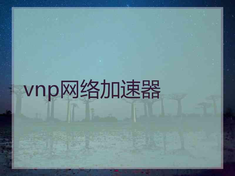 vnp网络加速器