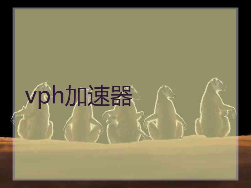 vph加速器