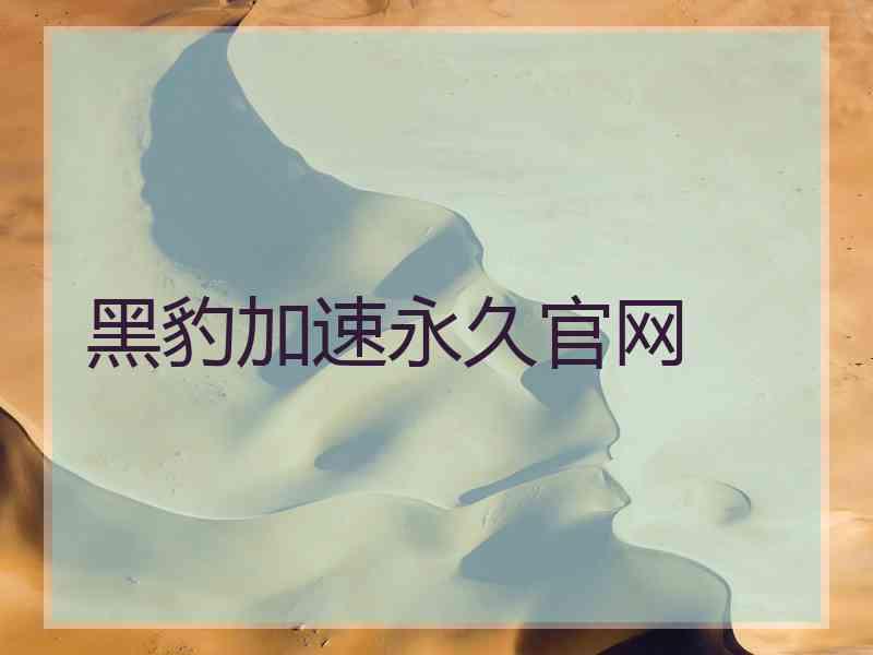 黑豹加速永久官网