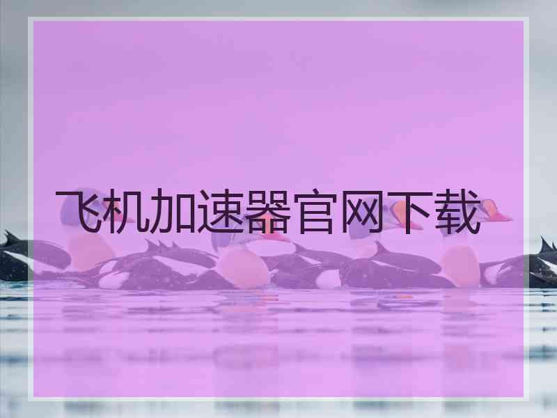 飞机加速器官网下载