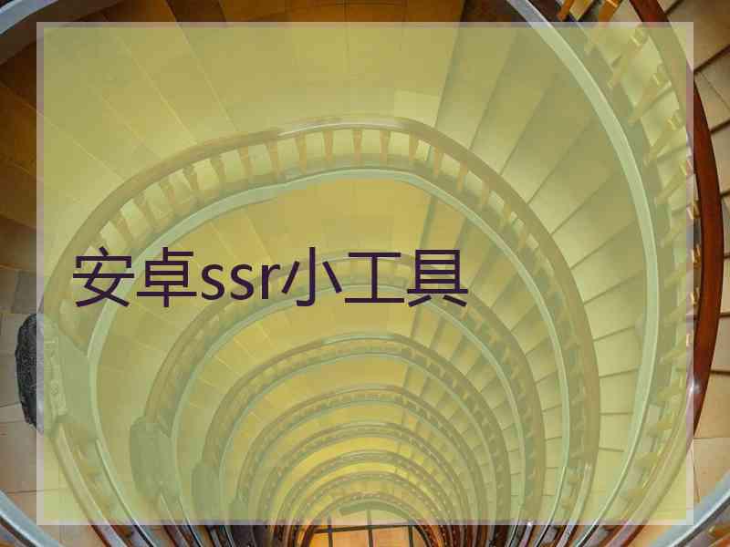 安卓ssr小工具