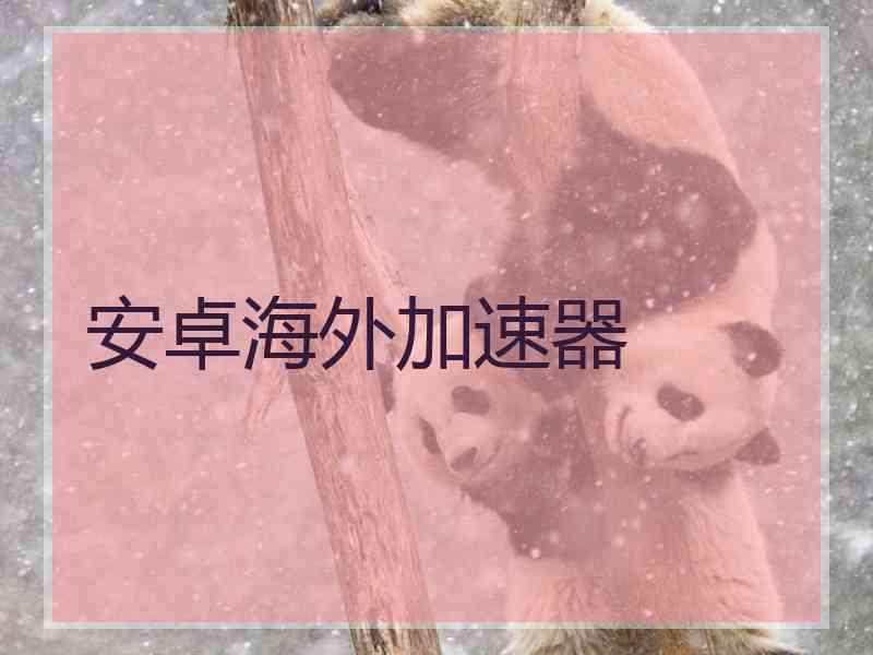 安卓海外加速器