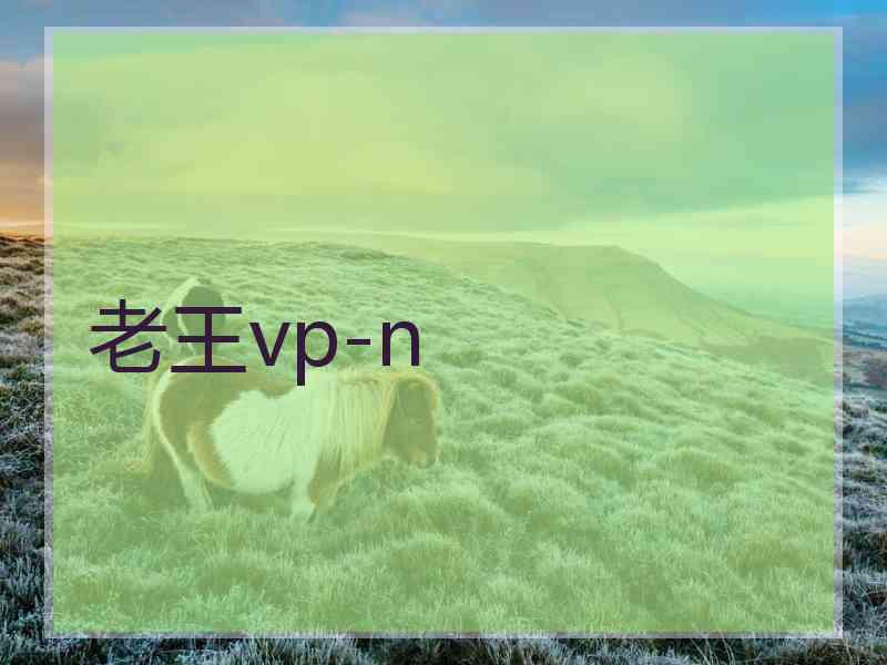 老王vp-n