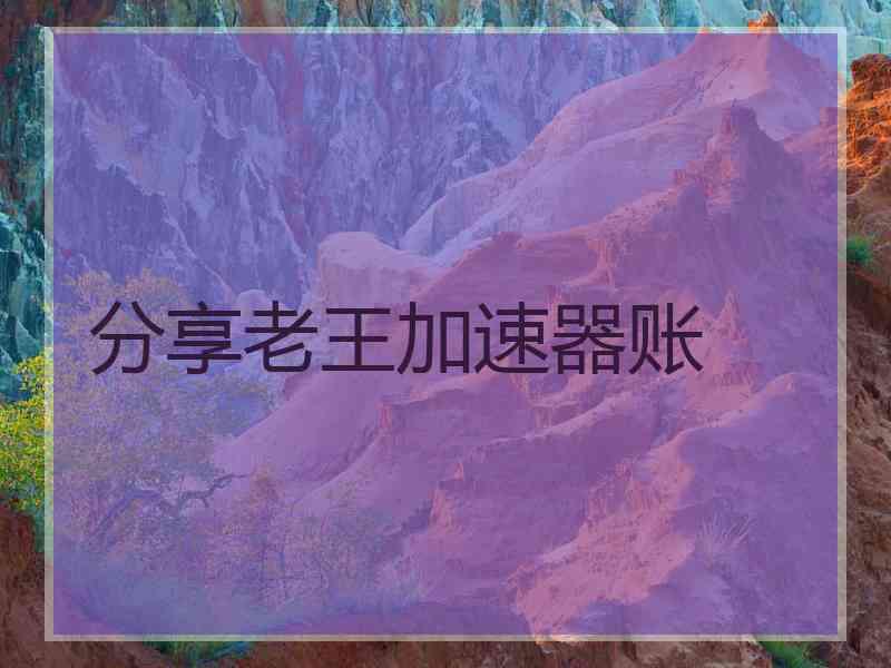分享老王加速器账