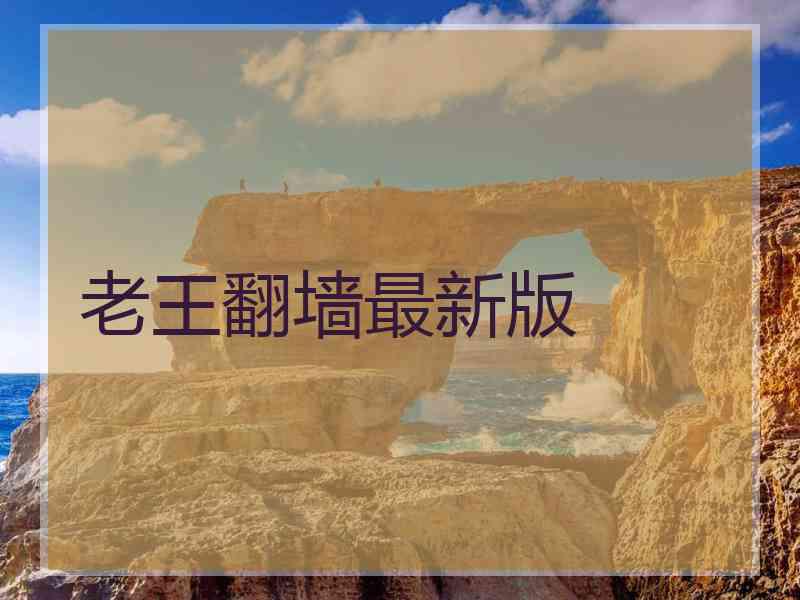老王翻墙最新版