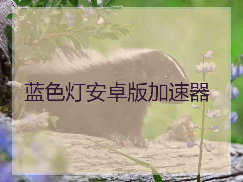 蓝色灯安卓版加速器