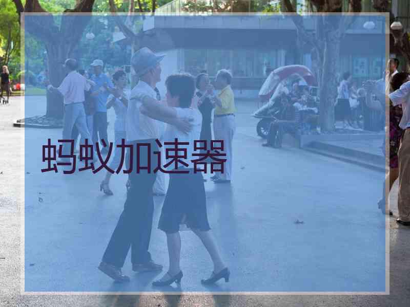 蚂蚁加速器