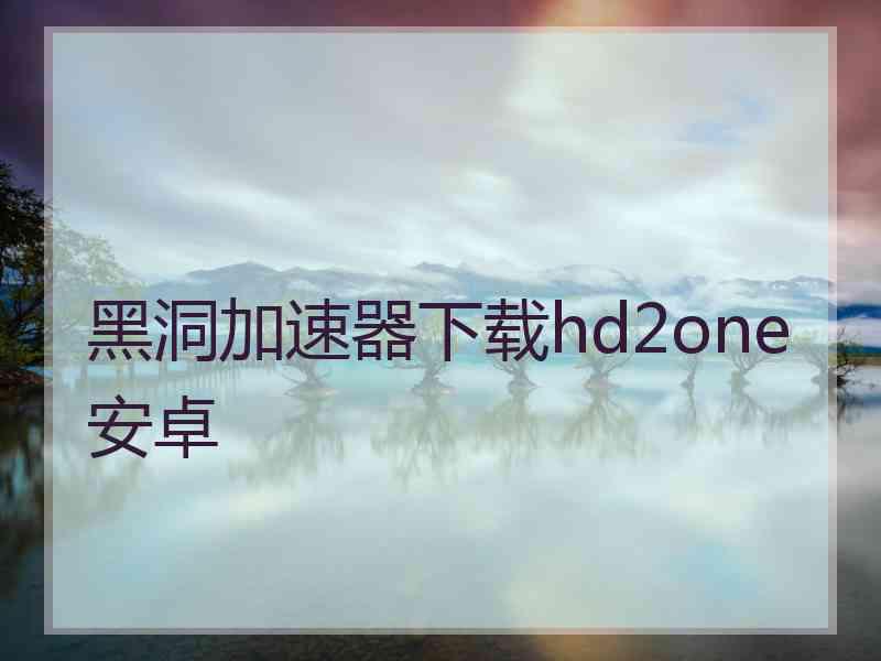 黑洞加速器下载hd2one安卓