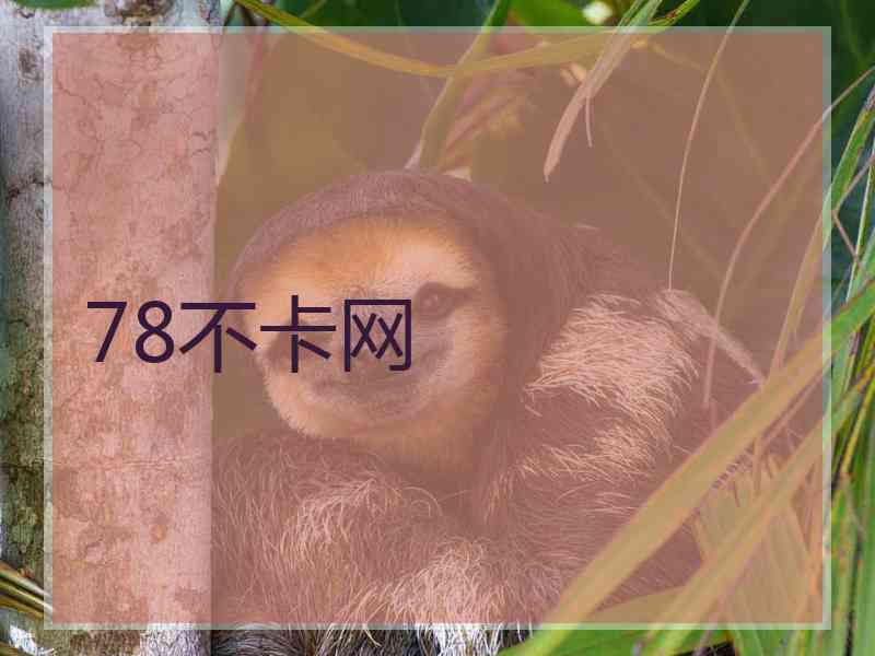 78不卡网