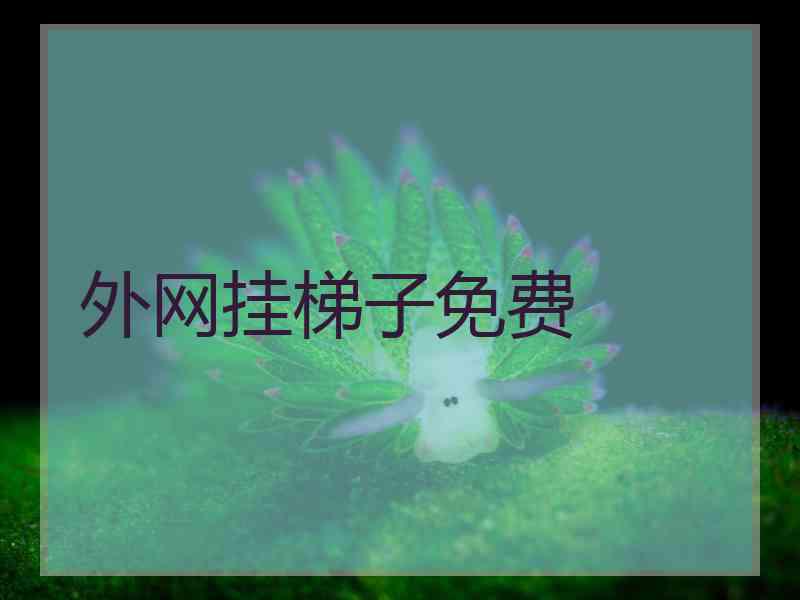 外网挂梯子免费