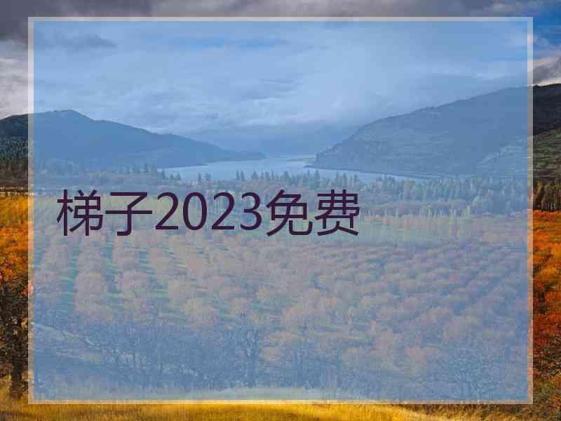梯子2023免费
