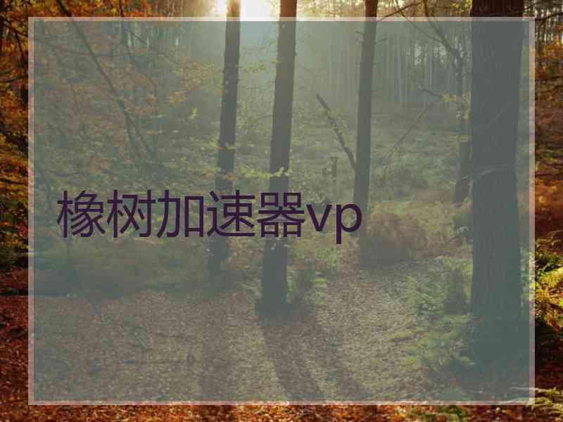 橡树加速器vp