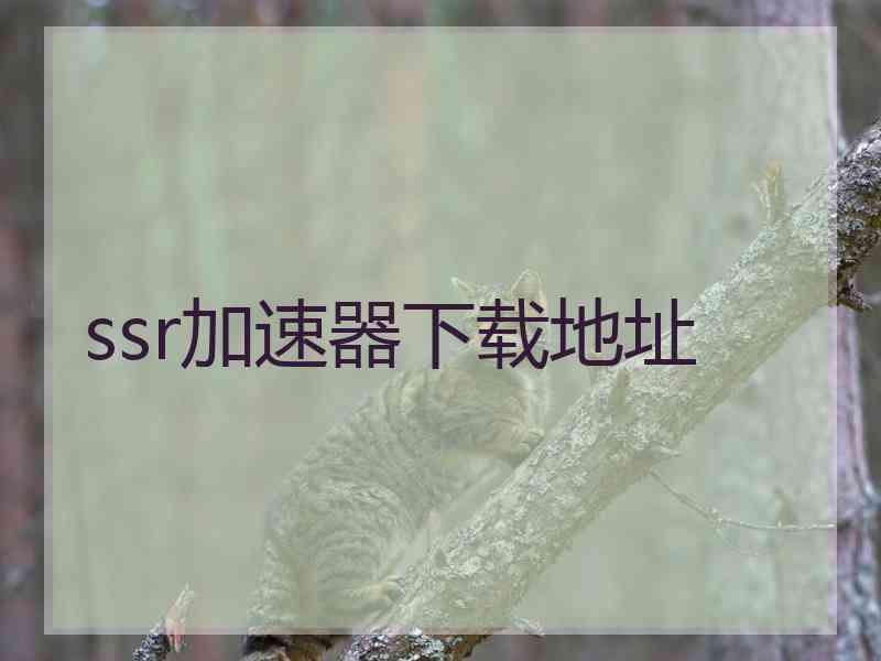ssr加速器下载地址