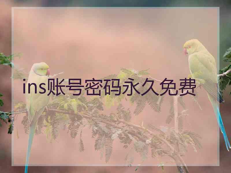 ins账号密码永久免费