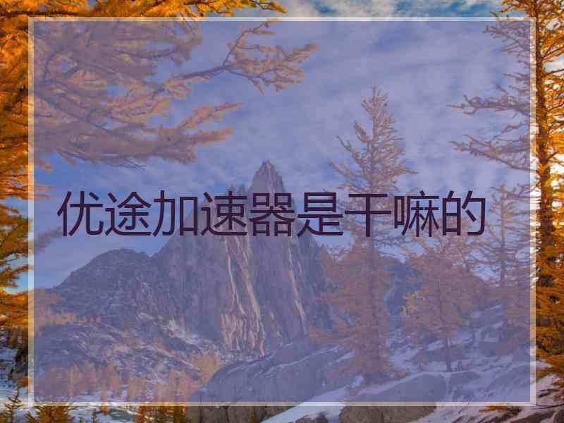 优途加速器是干嘛的