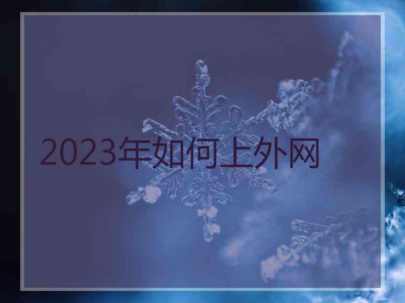 2023年如何上外网