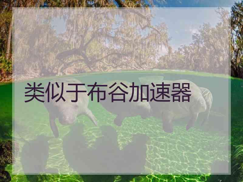 类似于布谷加速器