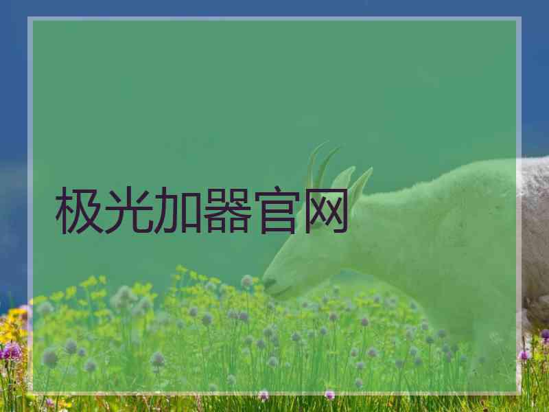 极光加器官网