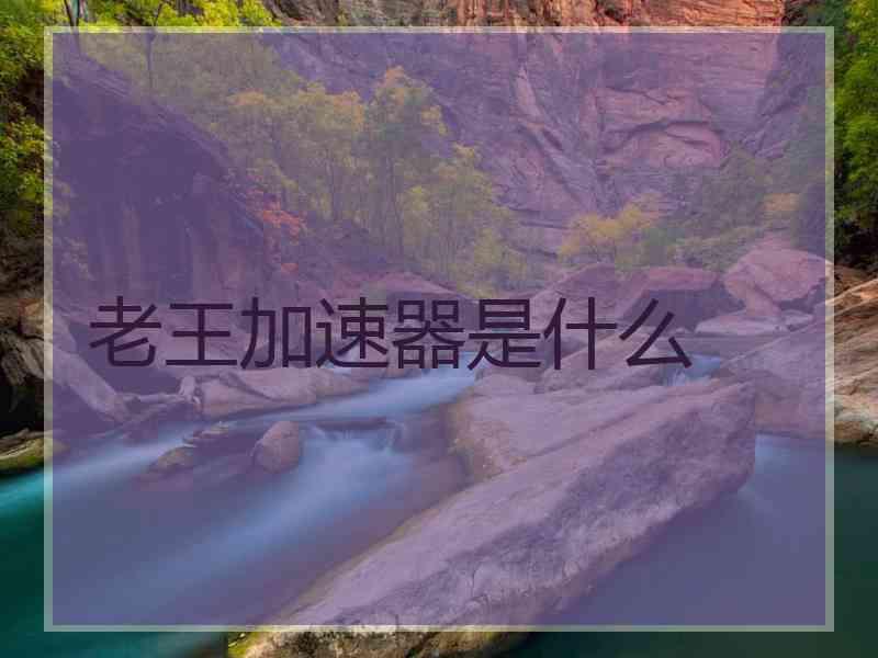 老王加速器是什么