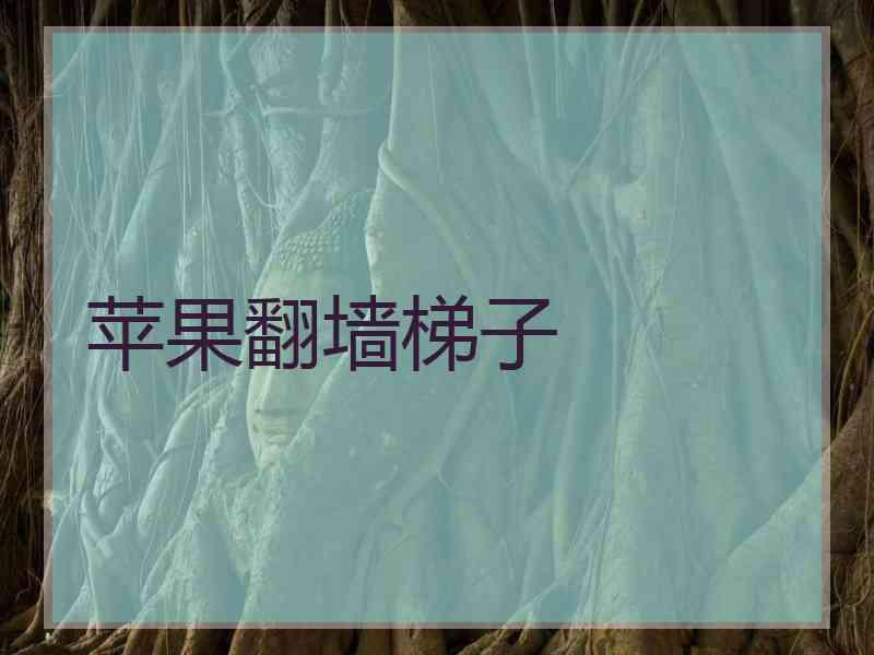 苹果翻墙梯子