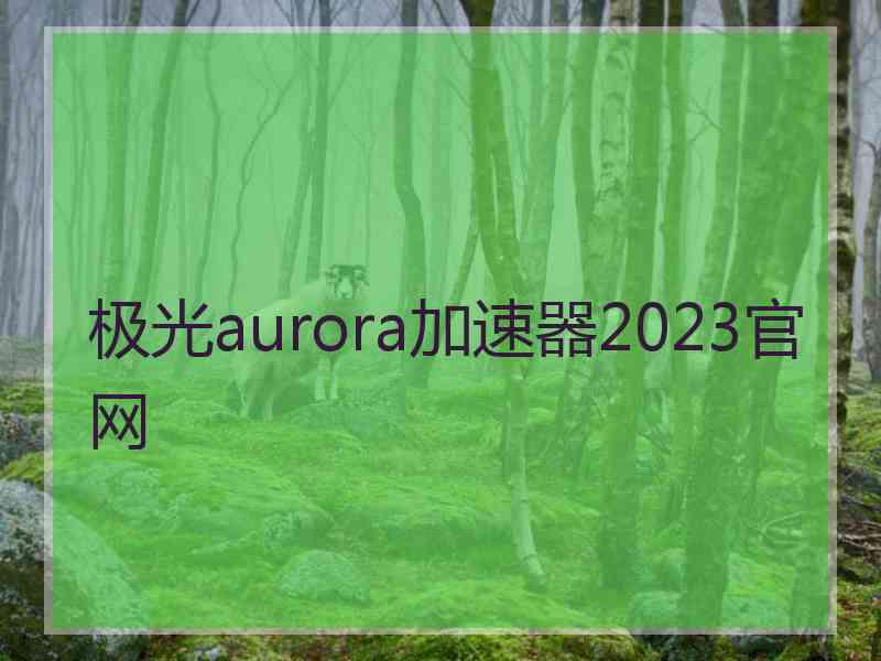 极光aurora加速器2023官网