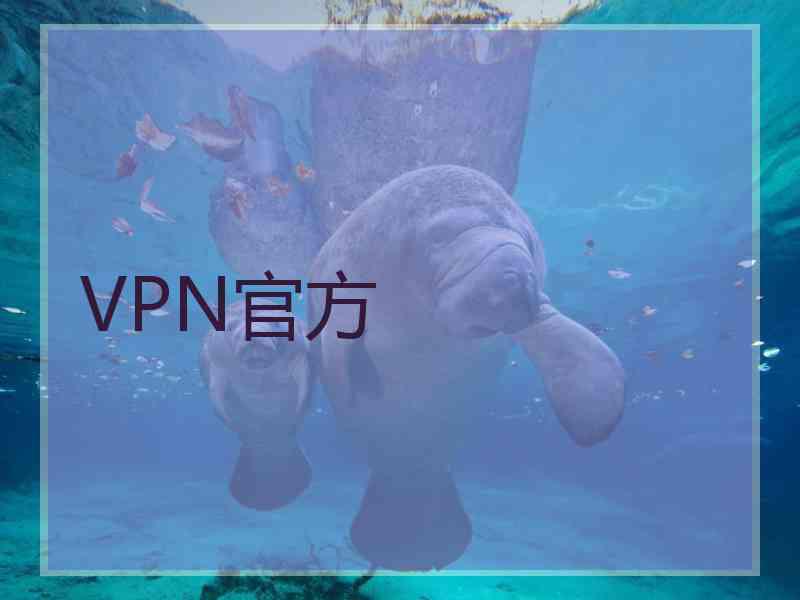 VPN官方