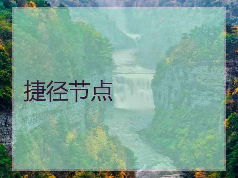 捷径节点