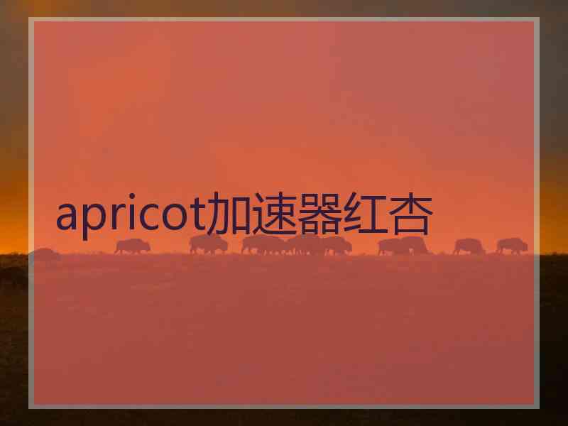 apricot加速器红杏