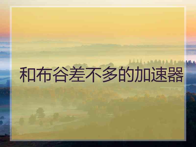 和布谷差不多的加速器