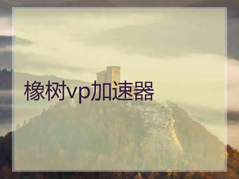 橡树vp加速器