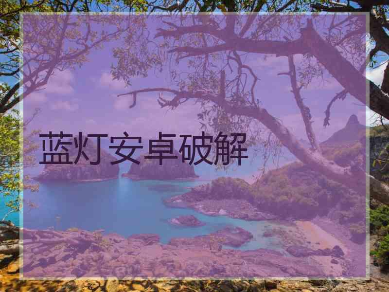 蓝灯安卓破解