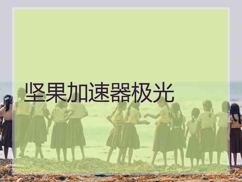 坚果加速器极光