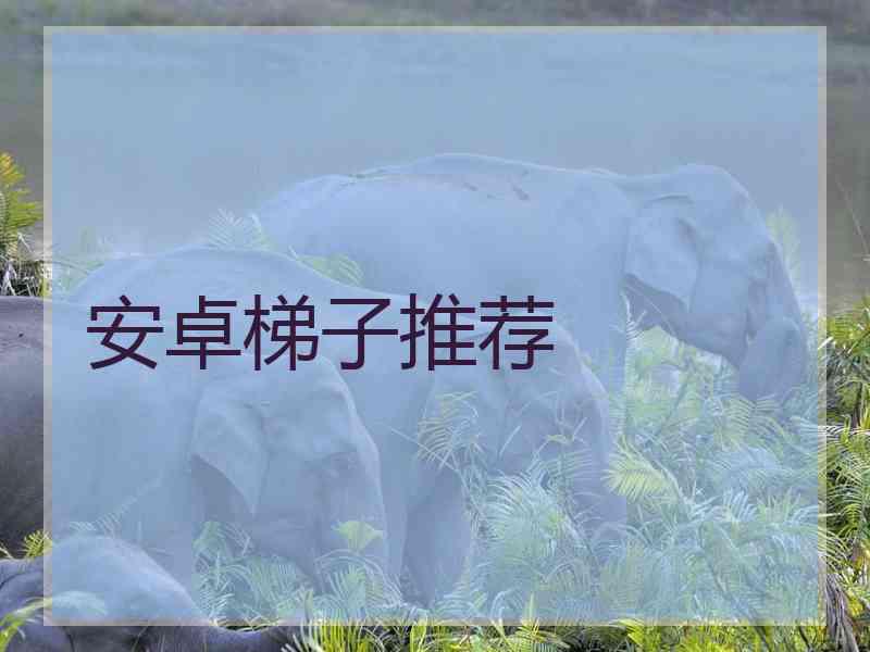 安卓梯子推荐