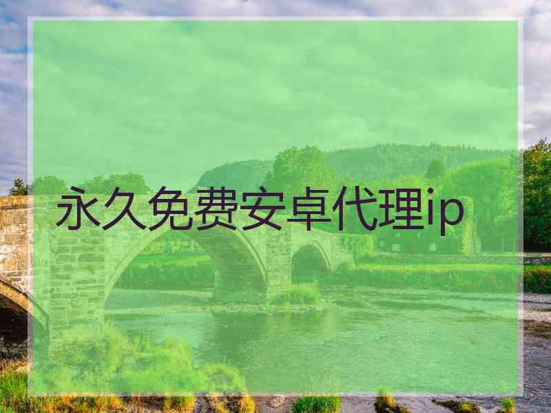 永久免费安卓代理ip