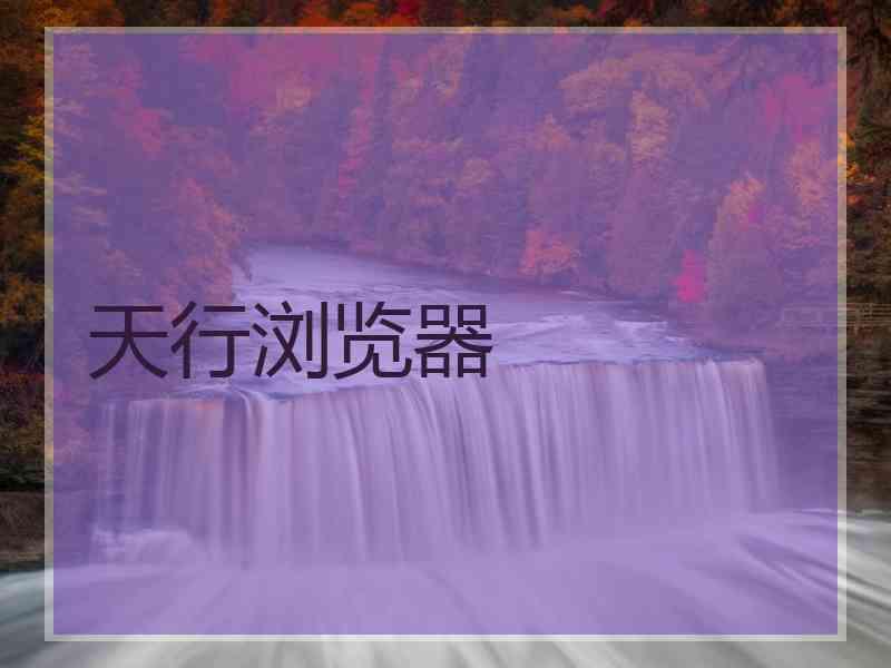天行浏览器