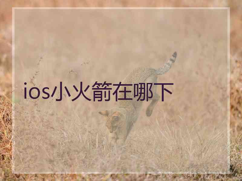 ios小火箭在哪下
